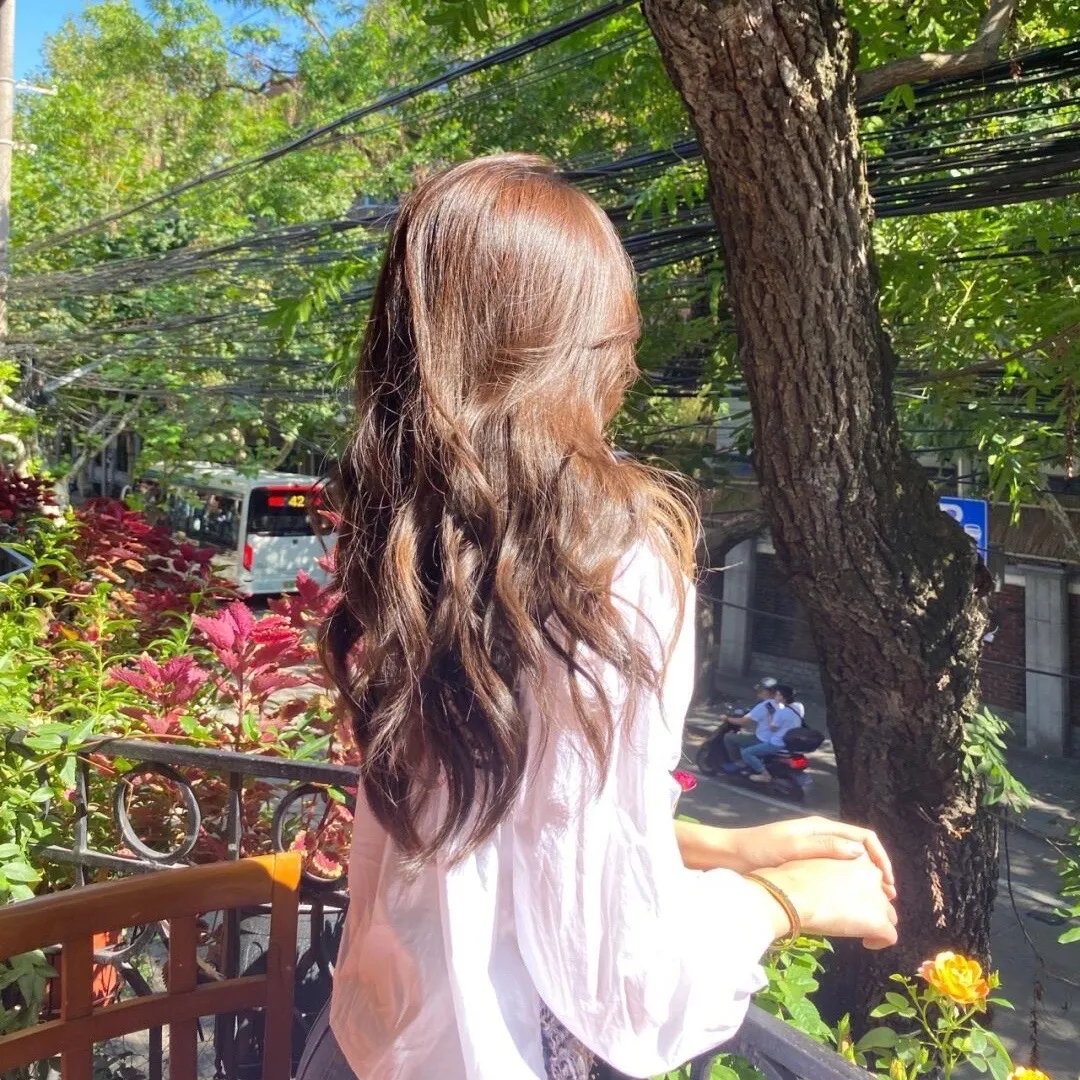 左轮百合